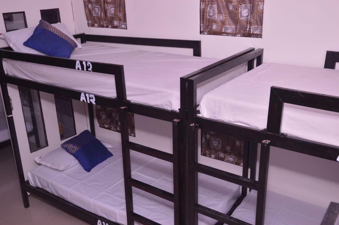Citybackpacker Hostel Yeni Delhi Dış mekan fotoğraf